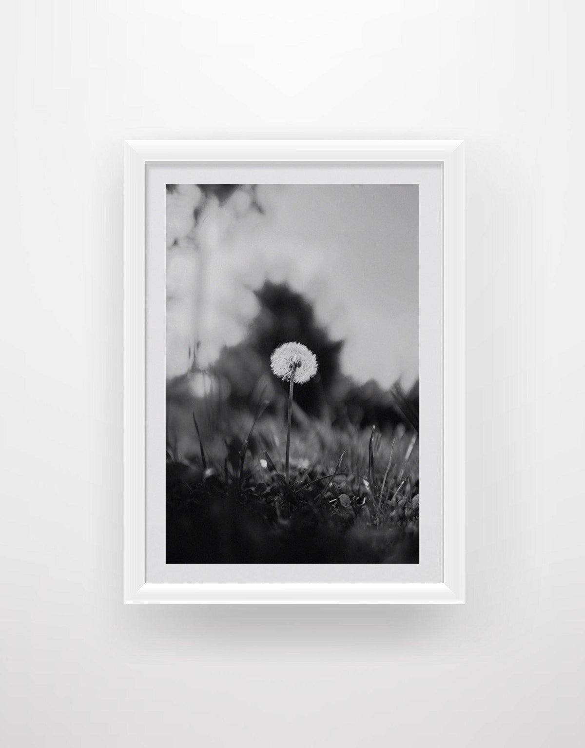 Dandelion 2 - Chic Prints