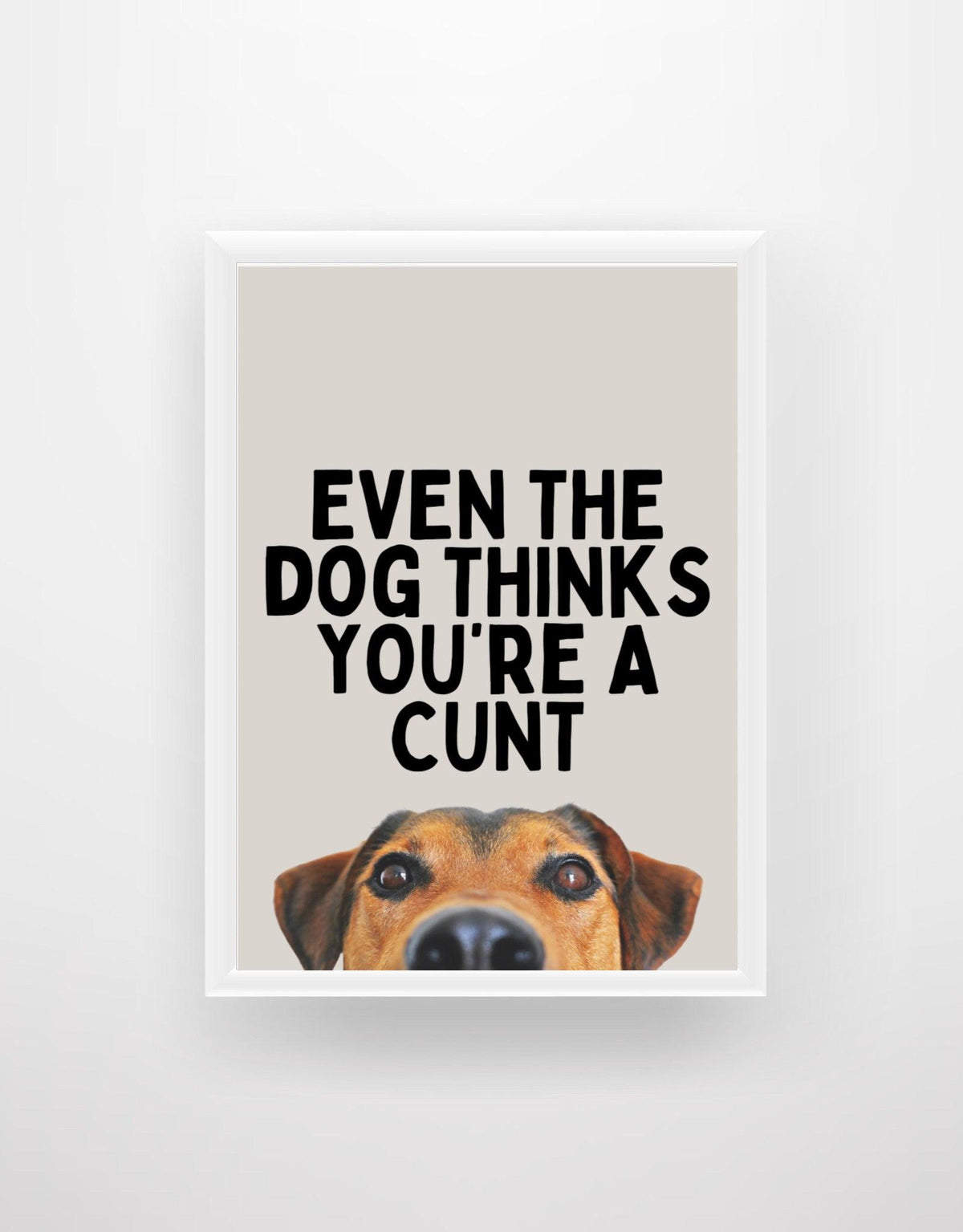 Even the Dog Thinks You're a C*nt