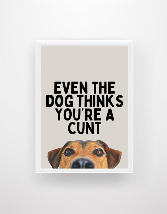 Even the Dog Thinks You're a C*nt