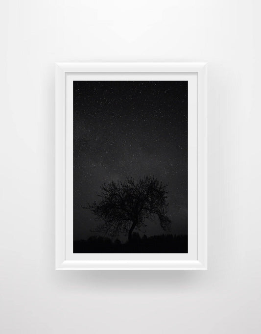 Constellation 2 - Chic Prints