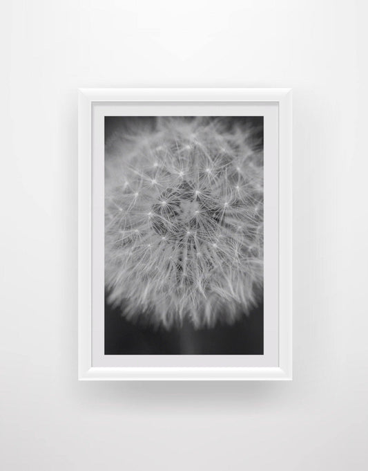 Dandelion 1 - Chic Prints