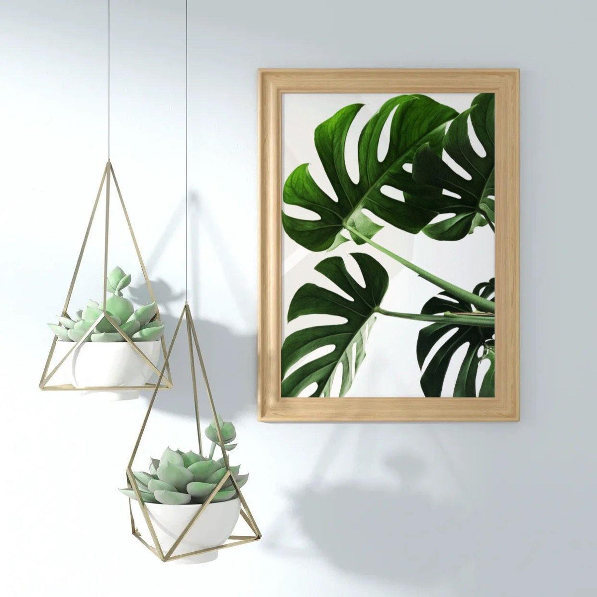 Monstera - Botanical Print - Chic Prints