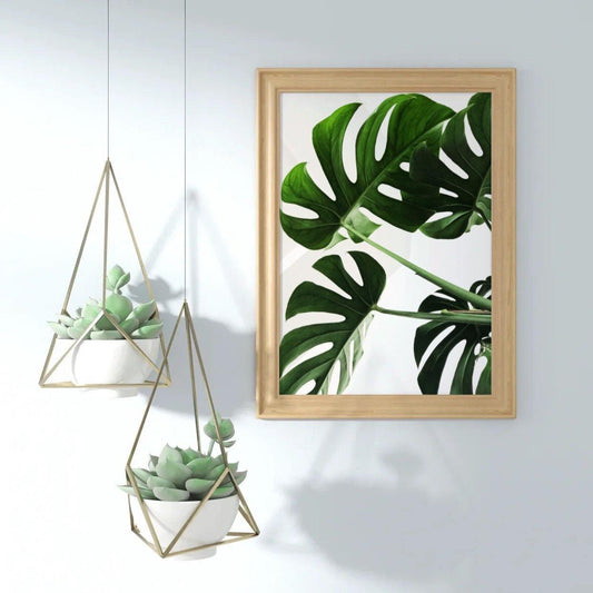 Monstera - Botanical Print - Chic Prints