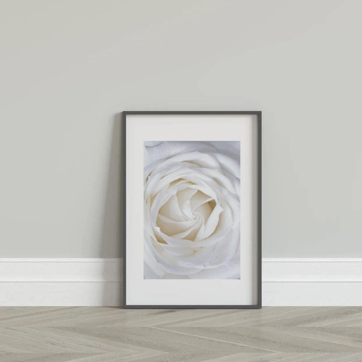White Rose - Fine art print-Chic Prints