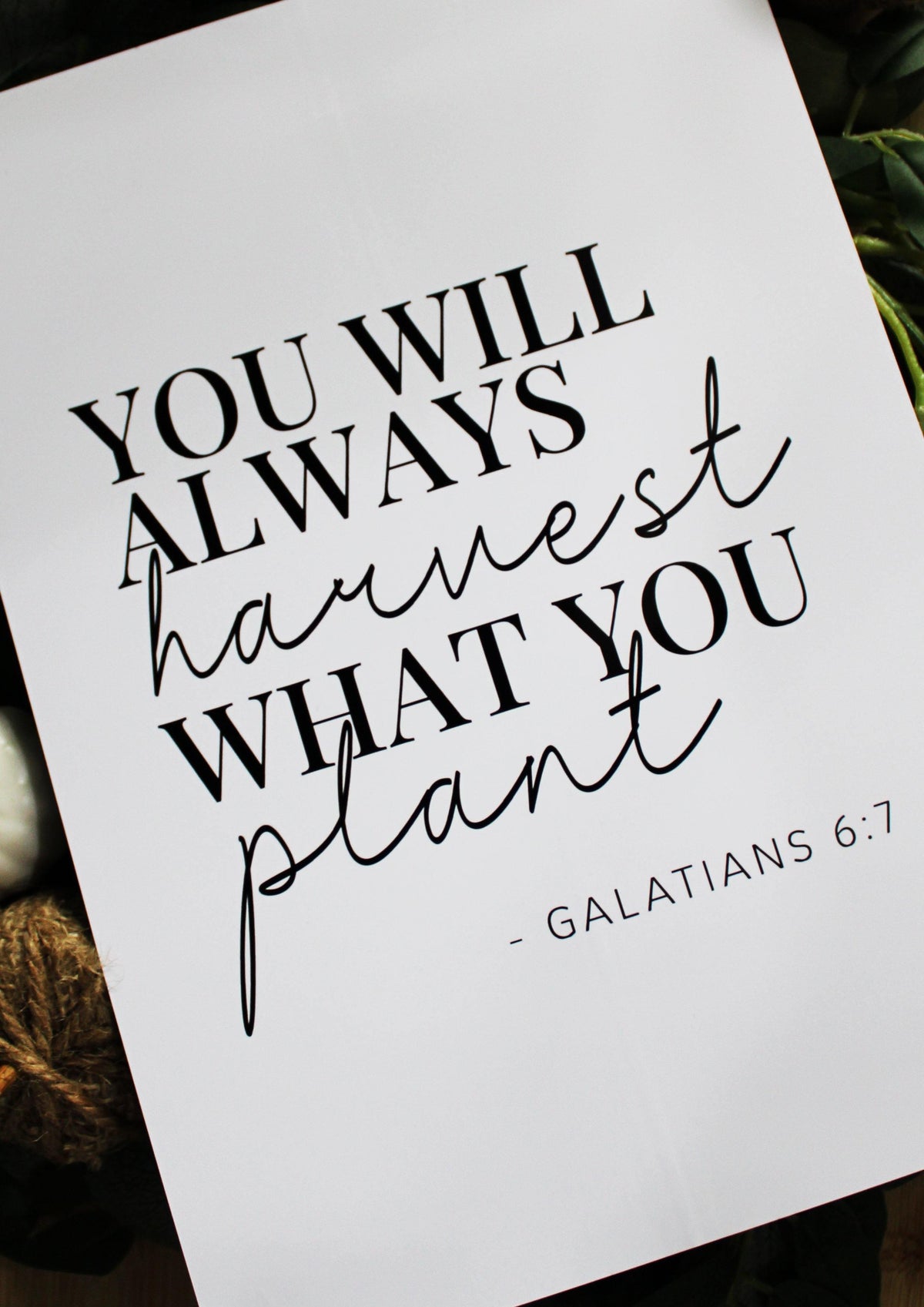 You will always harvest what you plant - Autumn Quote Print - Chic Prints