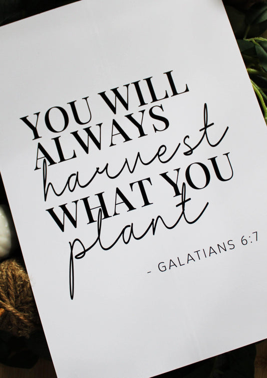 You will always harvest what you plant - Autumn Quote Print - Chic Prints